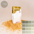CLAYFIX - Lehm-Anstrich Jade-Grün 1,5 Kg