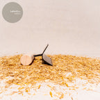 CLAYTEC Gratkelle rund MENBIKI-GOTE UCHIMARO